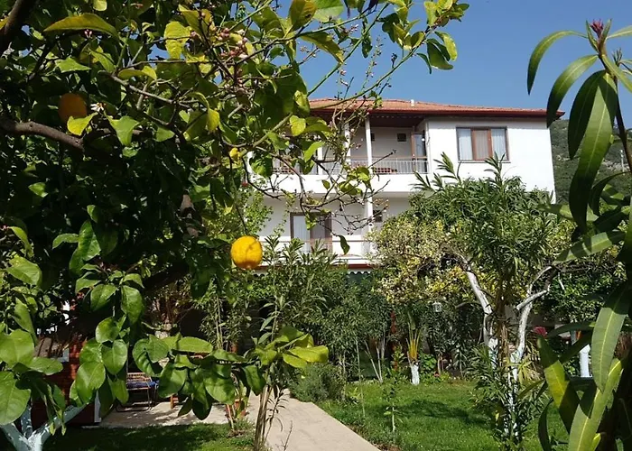 Pet friendly Ayris Hotel Cirali