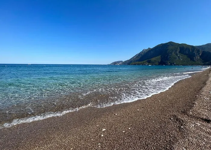 Pet friendly Pinea Pansiyon Kemer