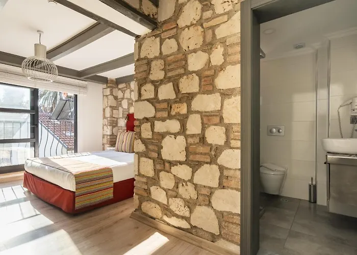 Pet friendly Excellent Flat Near Hadrians Gate Apartment Antalya