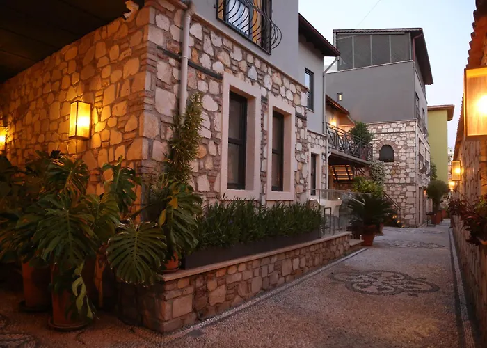 Pet friendly Bright Flat With Balcony Near Hadrian'S Gate Apartment Antalya