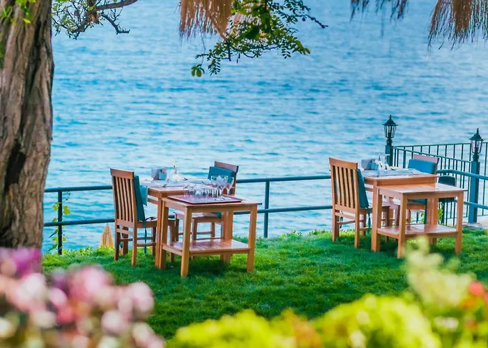 Pet friendly Sardunya Andifli Otel Kas