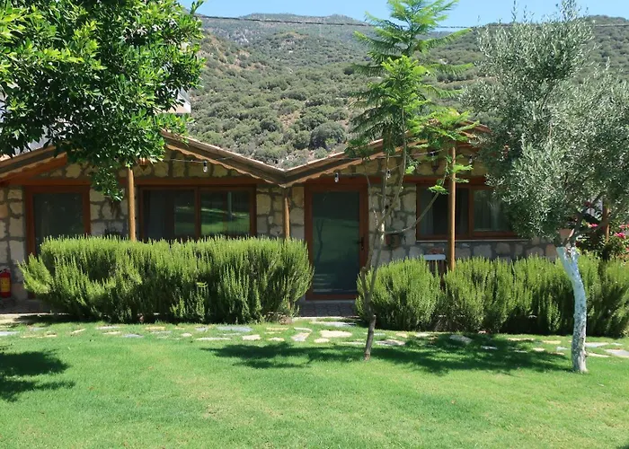 Pet friendly Kas Joy Glamping Hotel
