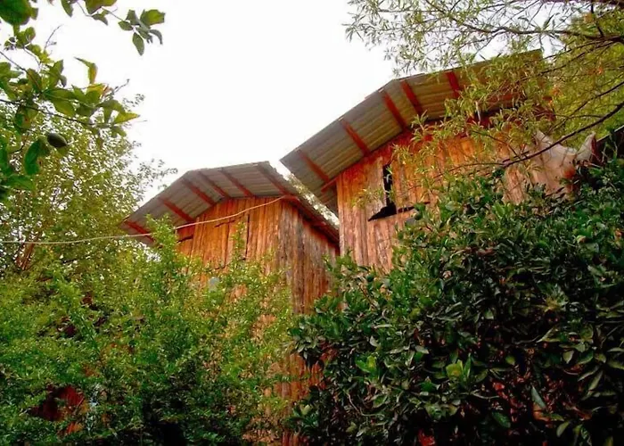 Olympos Hotels