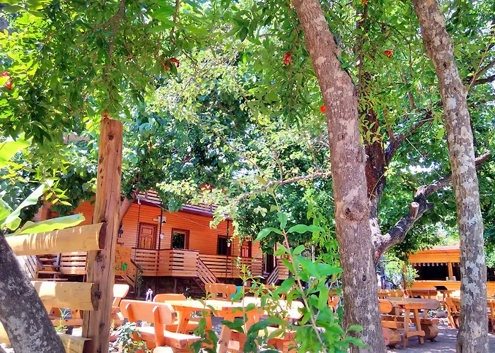 Cirali hotels near Olympos Beach