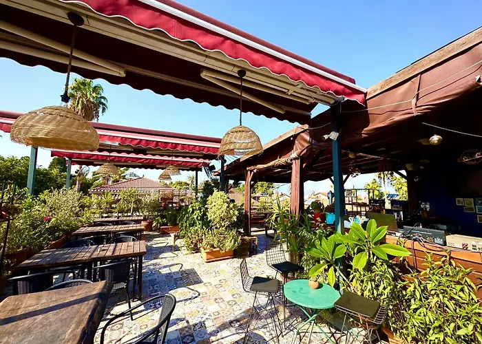 Pet friendly Gold Coast Hostel Antalya