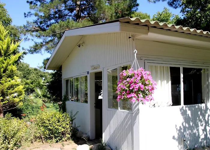 Defne Pension Cirali
